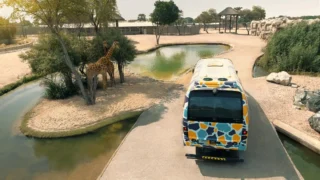 サファリパークパス（電車とエクスプローラーサファリツアー付き）