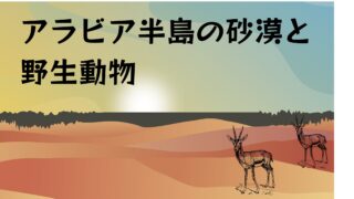 アラビア半島の砂漠と野生動物